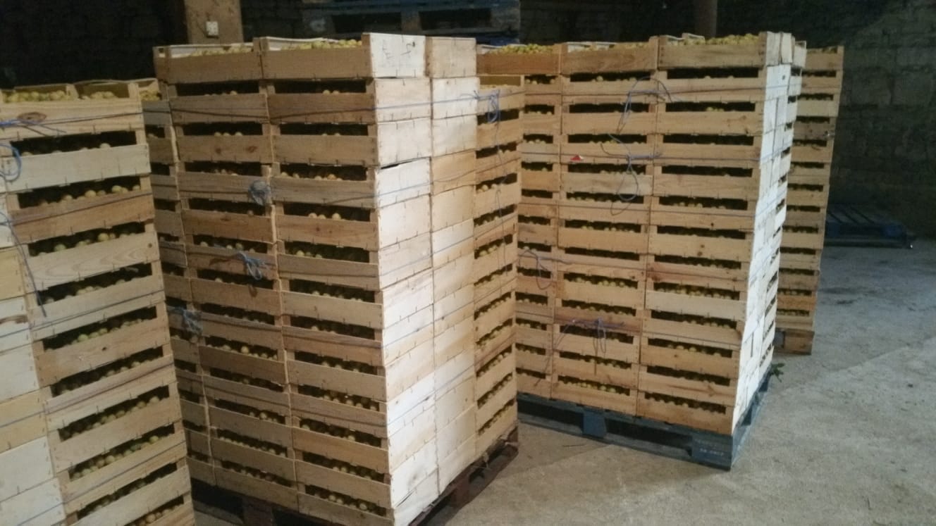 Palettes de mirabelles